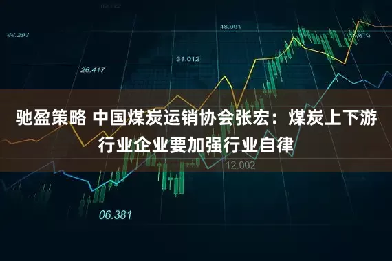 驰盈策略 中国煤炭运销协会张宏：煤炭上下游行业企业要加强行业自律