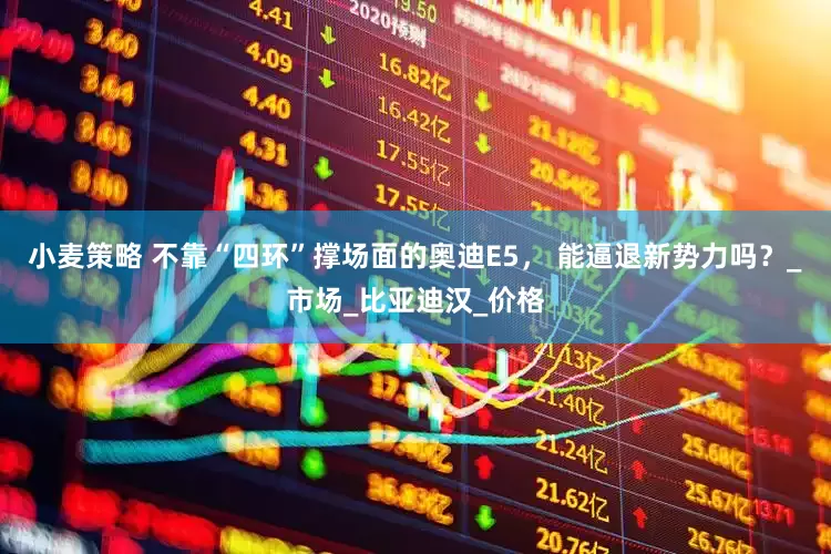 小麦策略 不靠“四环”撑场面的奥迪E5， 能逼退新势力吗？_市场_比亚迪汉_价格